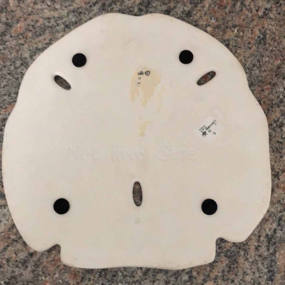 2pc Sand Dollar DECOR - Picture 4 of 8